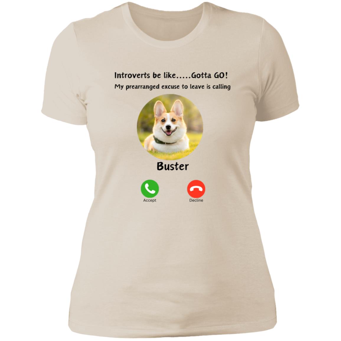 Introverts Unite! Your Dog/Cat/Horse/ Bunny is calling and you need to GO! Ladies Tee