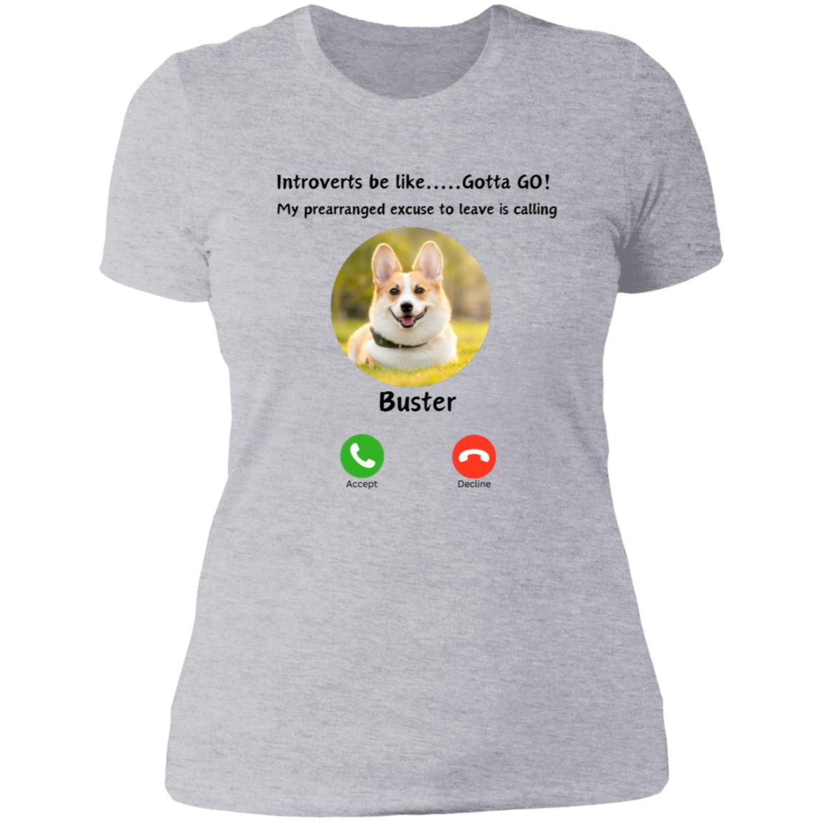 Introverts Unite! Your Dog/Cat/Horse/ Bunny is calling and you need to GO! Ladies Tee