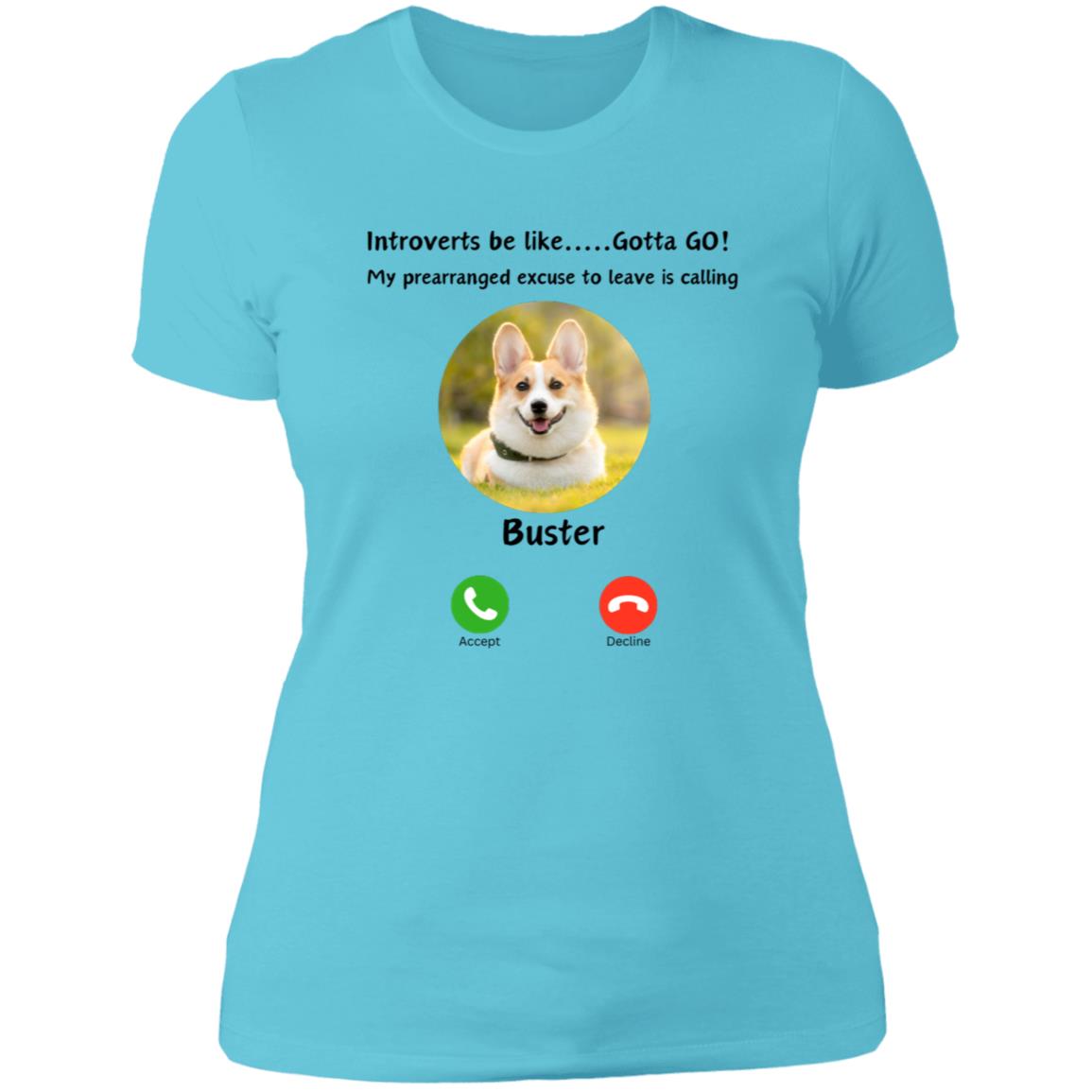 Introverts Unite! Your Dog/Cat/Horse/ Bunny is calling and you need to GO! Ladies Tee