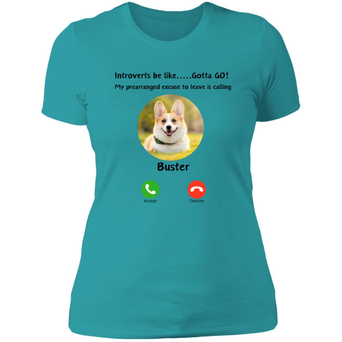 Introverts Unite! Your Dog/Cat/Horse/ Bunny is calling and you need to GO! Ladies Tee