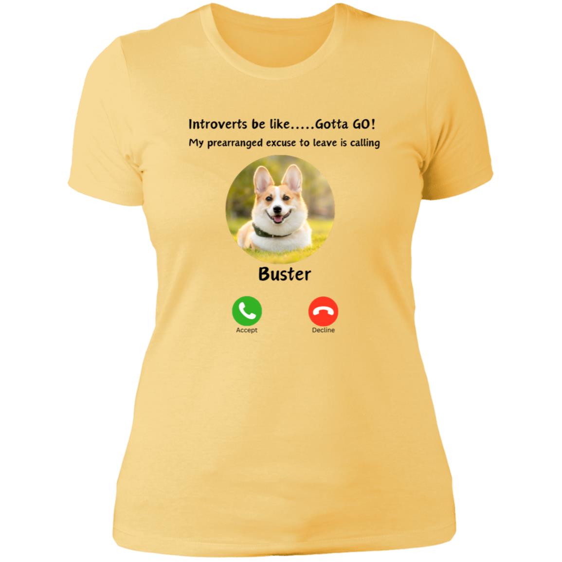 Introverts Unite! Your Dog/Cat/Horse/ Bunny is calling and you need to GO! Ladies Tee