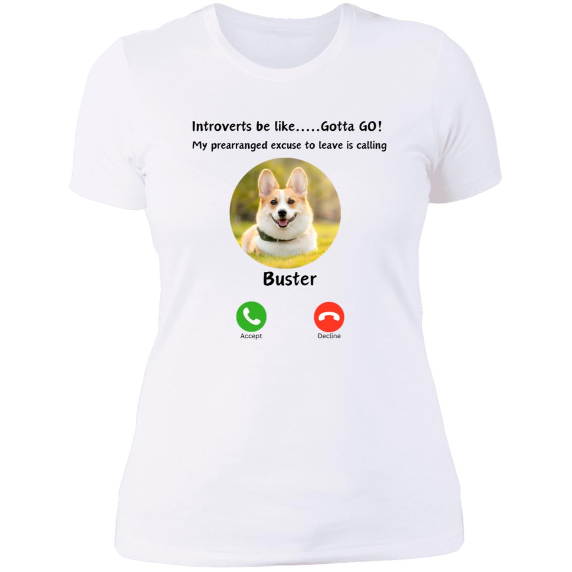 Introverts Unite! Your Dog/Cat/Horse/ Bunny is calling and you need to GO! Ladies Tee